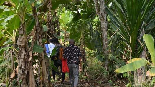 Identification du site d’accueil de la Briqueterie Municipale de Douala 1er